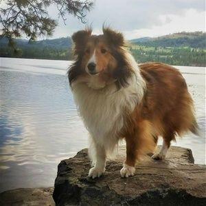 Meet your Posher, Wanda